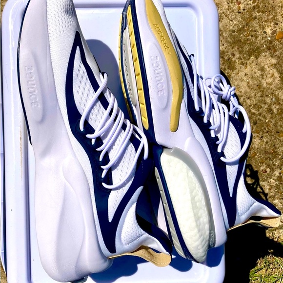 Adidas Alphaboost V1 NCAA pack - Picture 14 of 16